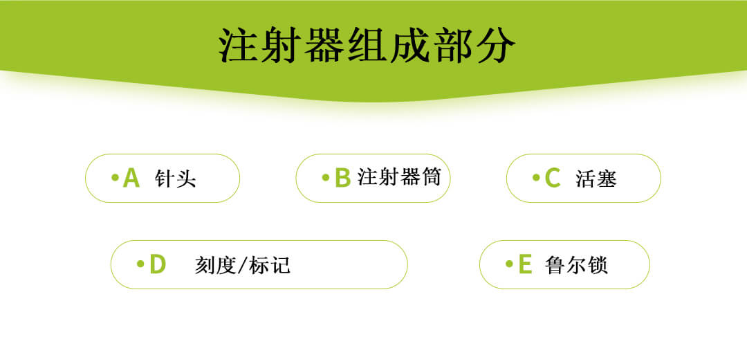 1753669305748895.jpg 注射器组成部门.jpg